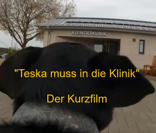Teska muss in die Klinik - Der Kurzfilm
